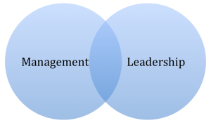 mgmt_leadership-venn